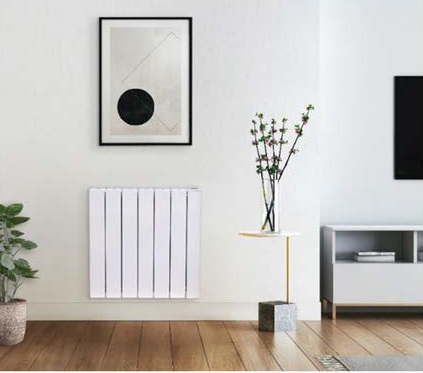 Radiateur électrique DOMAO 100